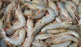 臭鱼烂虾爆料怎么做的视频,家常美味轻松学